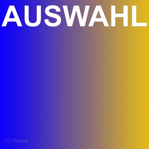 A AUSWAHL.jpg